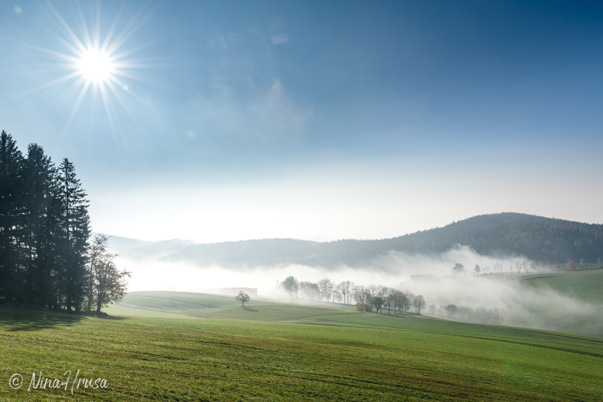 Sonne und Nebel, Oststeiermark, Zwischenmomente | Nina Hrusa Photography