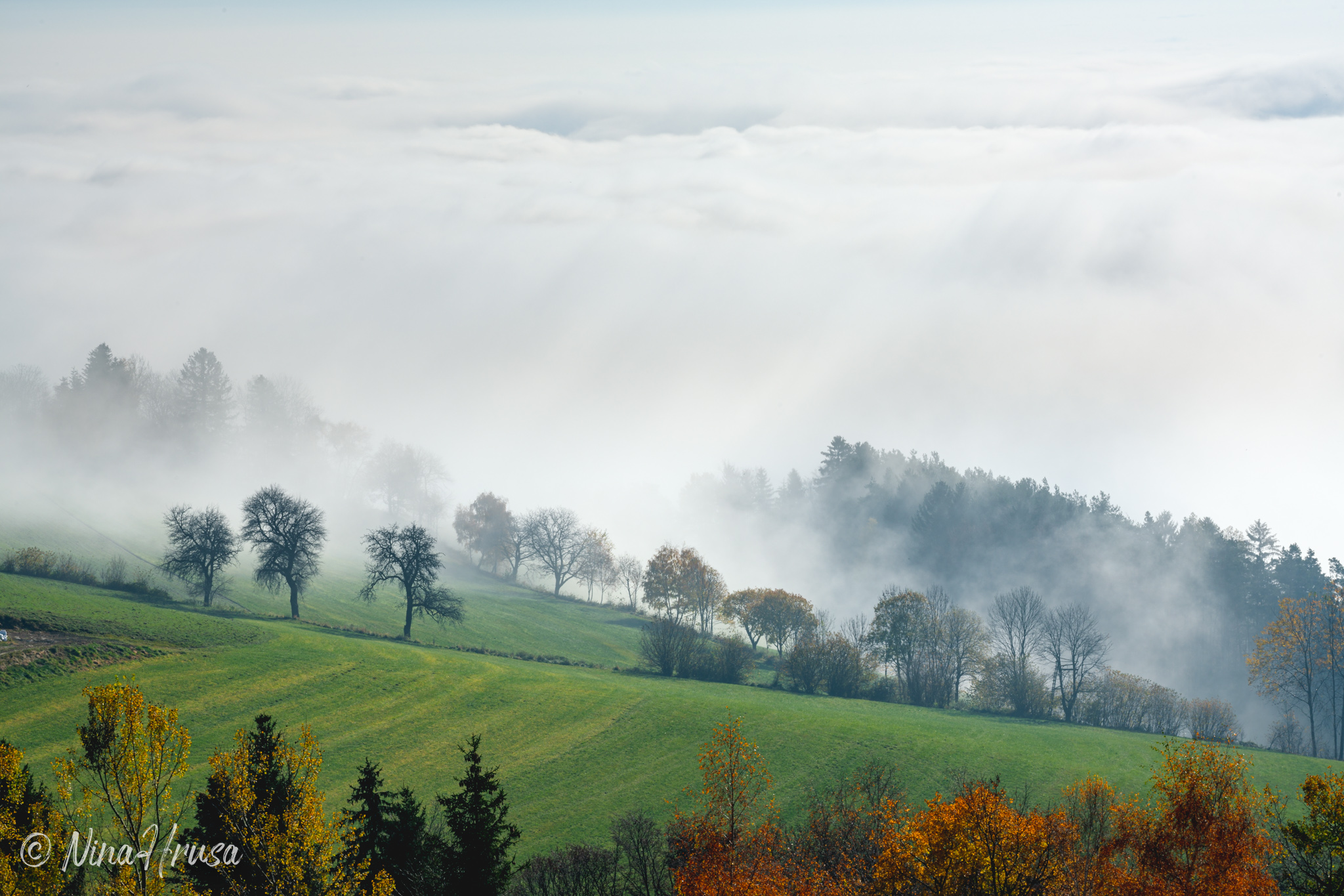 Nebelstimmung, Oststeiermark, Zwischenmomente | Nina Hrusa Photography