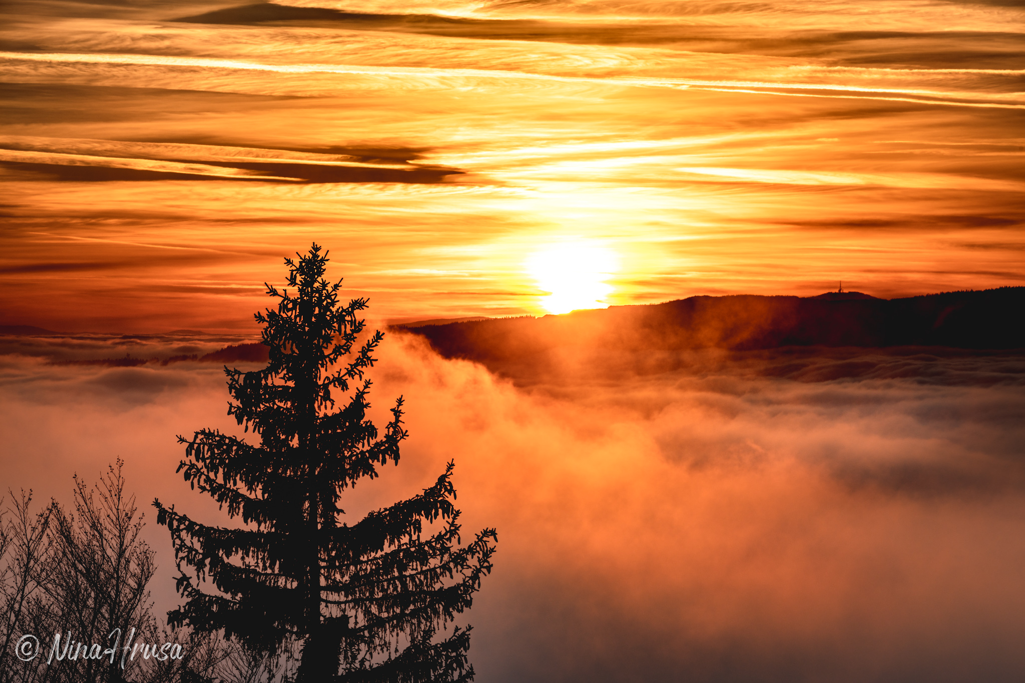 Nebelstimmung, Sonnenuntergang, Oststeiermark, Zwischenmomente | Nina Hrusa Photography