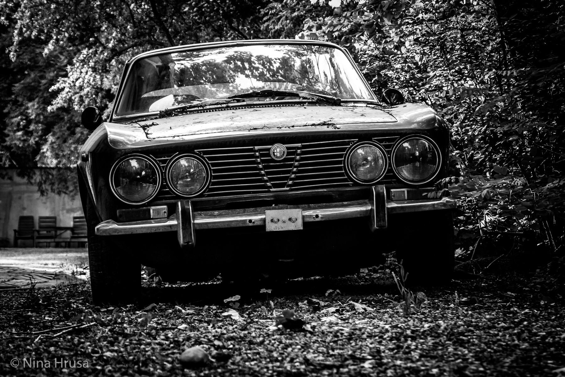 Alfa Romeo Oldtimer, schwarzweiß, Vernissage "die Resonanz der Stille", Zwischenmomente | Nina Hrusa Photography